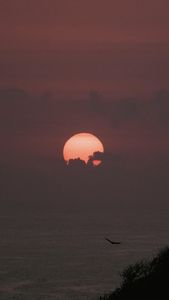 Instagram post by @allthewildair