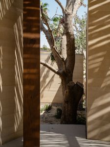 Instagram post by @allthewildair