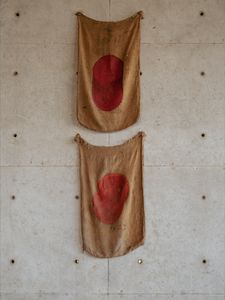 Instagram post by @allthewildair