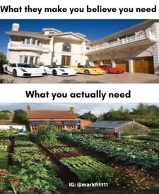 Instagram post by @markfitt11