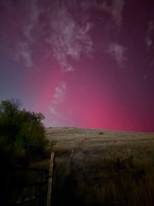 Instagram post by @megfisher