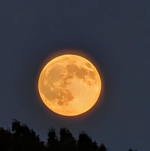 Instagram post by @samanthaaugeri