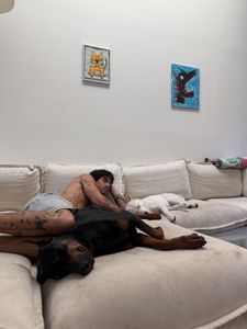 Instagram post by @noah.rolette