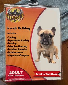 Instagram post by @somefrenchienamedapollo