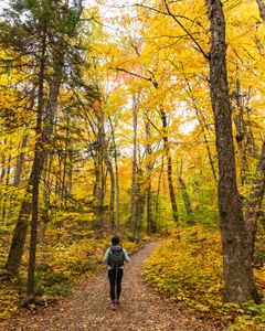 Instagram post by @nicholethenomad