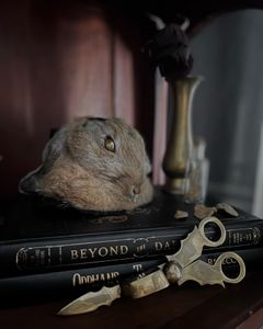 Instagram post by @britt_a_brac