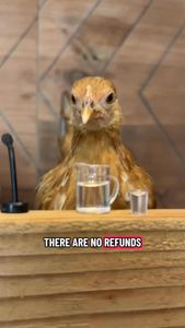 Instagram post by @hen_stefani