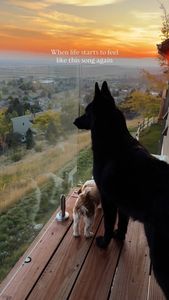 Instagram post by @krissannb