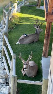 Instagram post by @krissannb