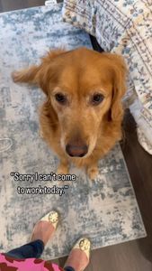 Instagram post by @teegagoldenpants