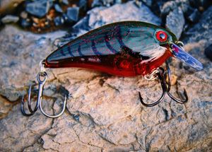 Instagram post by @dadbodfishin