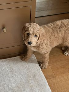 Instagram post by @mollykiddstudio