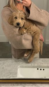 Instagram post by @mollykiddstudio