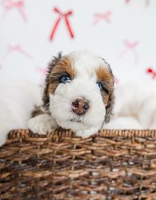 Instagram post by @kenn_plumb