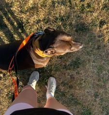 Instagram post by @tazminjennifer