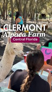 Instagram post by @floridawithyasmin