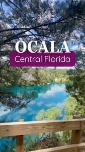 Instagram post by @floridawithyasmin