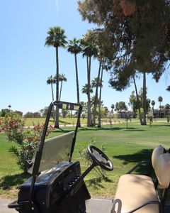 Instagram post by @amayadammee