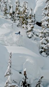 Instagram post by @sophiarou