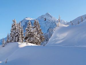 Instagram post by @sophiarou