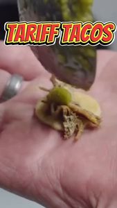 Instagram post by @sanantoniomunchies