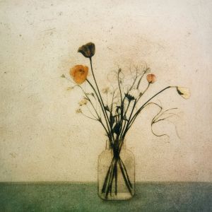 Instagram post by @jef_bourgeau