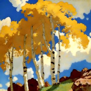 Instagram post by @jef_bourgeau