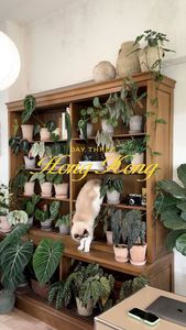 Instagram post by @benji_plant