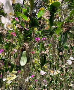 Instagram post by @ebony.vibes