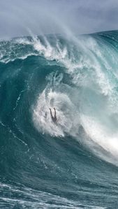 Instagram post by @tysimpsonkane