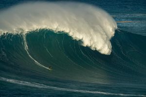 Instagram post by @tysimpsonkane