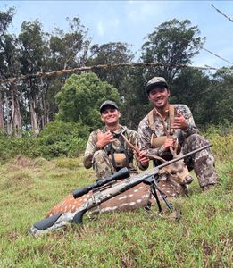 Instagram post by @tysimpsonkane