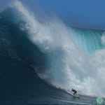 @tysimpsonkane Instagram Profile