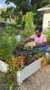 Instagram post by @curlycultivators