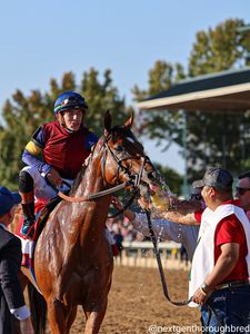 Instagram post by @tylergaffalione