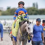 @tylergaffalione Instagram Profile