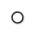 @holdenmedia Instagram Profile