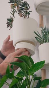 Instagram post by @loftedgoods