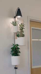 Instagram post by @loftedgoods