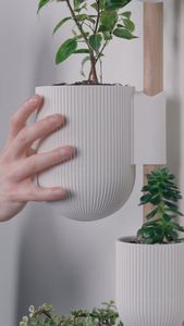 Instagram post by @loftedgoods