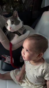 Instagram post by @kingpalma