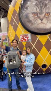 Instagram post by @kingpalma