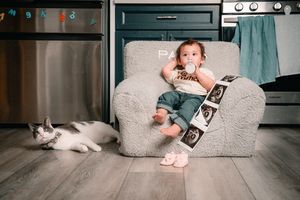 Instagram post by @kingpalma