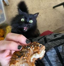 Instagram post by @thecuriouscoconut