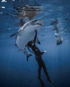 Instagram post by @andriana_marine