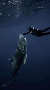 Instagram post by @andriana_marine