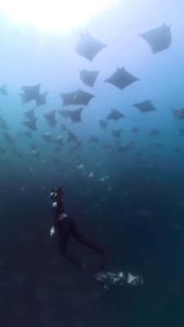 Instagram post by @andriana_marine