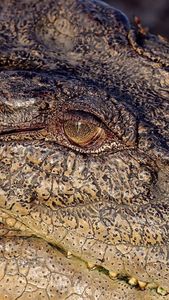 Instagram post by @andriana_marine