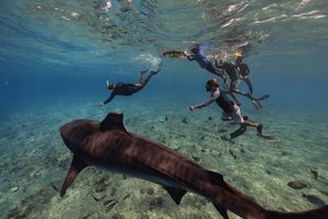 Instagram post by @andriana_marine