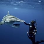 @andriana_marine Instagram Profile